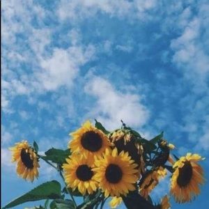 Meet your Posher, Reece